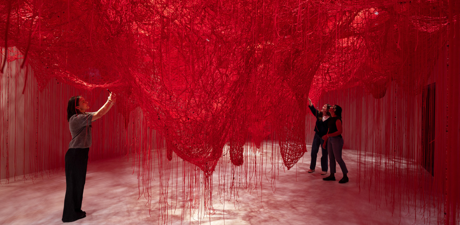 «Crystallizing Identity» Чіхару Шіота