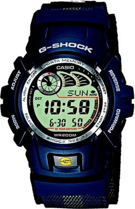 Часы CASIO G-2900V-2VER