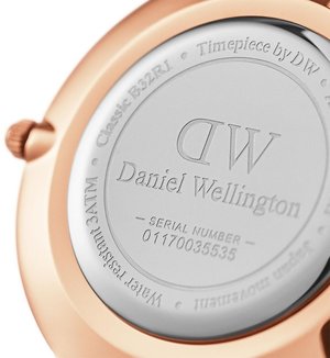 Часы Daniel Wellington Petite READING DW00100173