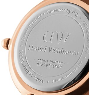 Часы Daniel Wellington Petite Durham DW00100228