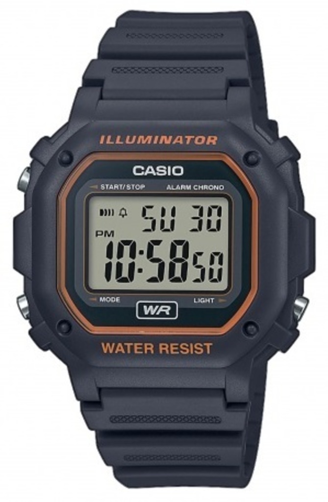 

Часы CASIO F-108WH-8A2EF, F-108WH-8A2EF