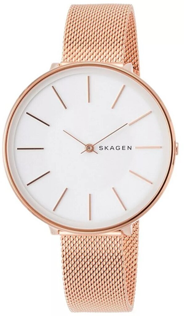 

Часы SKAGEN SKW2688, SKW2688