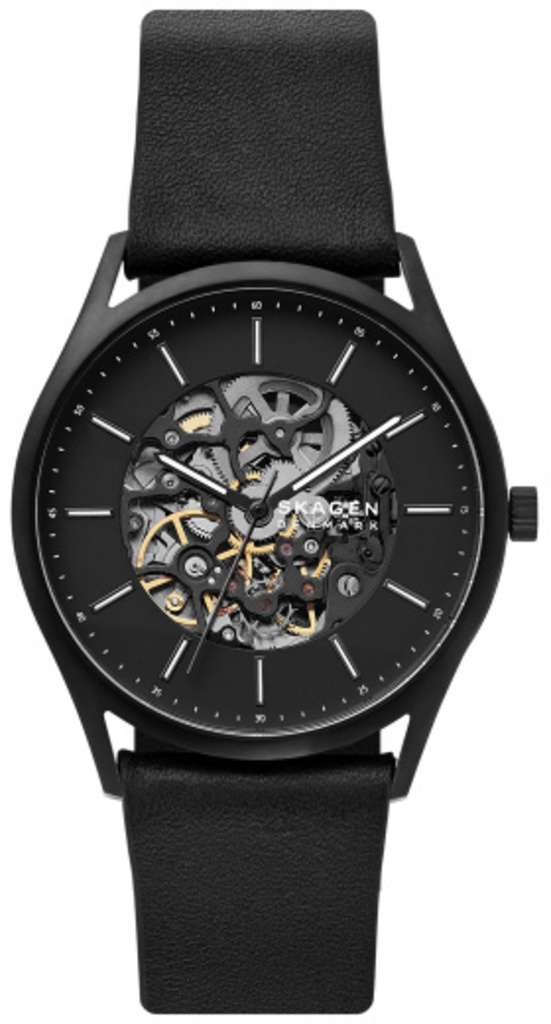 

Часы SKAGEN SKW6580, SKW6580